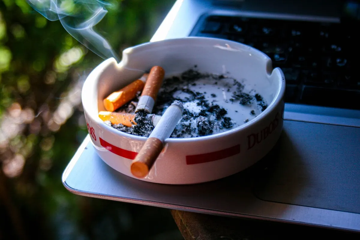 Aromatic vs English Blends: Which Should a New Pipe Smoker Try First?